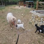 WhatsApp Image 2025-06-04 à 08.51.28_ba7d45d6