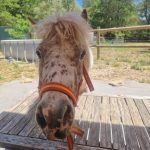 WhatsApp Image 2025-06-04 à 08.51.29_5e25c3fc