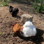 WhatsApp Image 2025-06-04 à 08.51.30_1508ff43