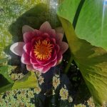 WhatsApp Image 2025-06-04 à 08.51.30_967d2b21