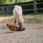 WhatsApp Image 2025-06-04 à 08.53.35_7bbca90d