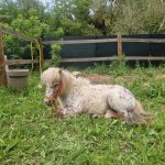 WhatsApp Image 2025-06-04 à 08.53.36_02f717db