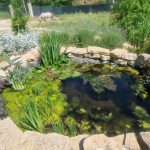 WhatsApp Image 2025-06-08 à 19.31.48_7c22027c