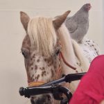 WhatsApp Image 2025-08-10 à 19.35.14_1ff3d76c