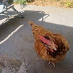 WhatsApp Image 2025-08-13 à 07.56.33_c8f2963d